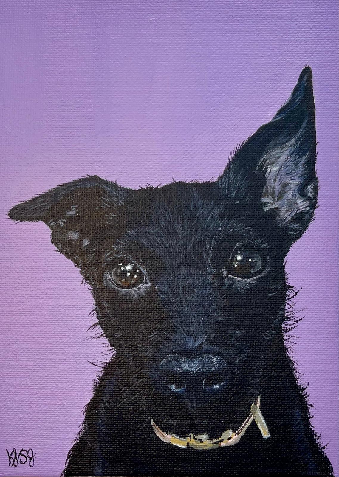 Fine art pet portrait